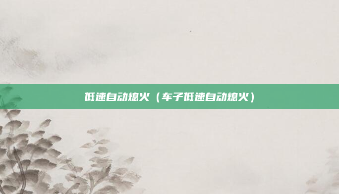 低速自动熄火(车子低速自动熄火)