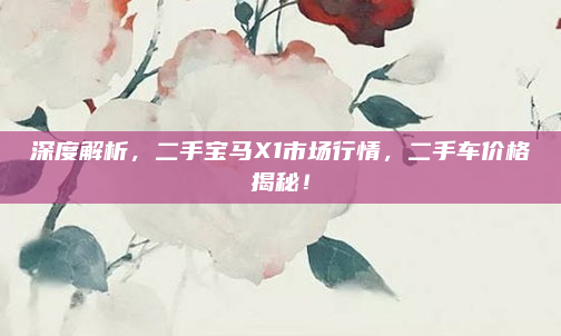 深度解析,二手宝马X1市场行情,二手车价格揭秘!