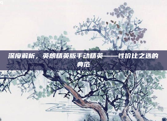 深度解析,英朗精英版手动精英——性价比之选的典范