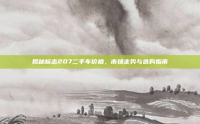 揭秘标志207二手车价格，市场走势与选购指南