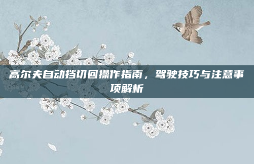 高尔夫自动挡切回操作指南,驾驶技巧与注意事项解析
