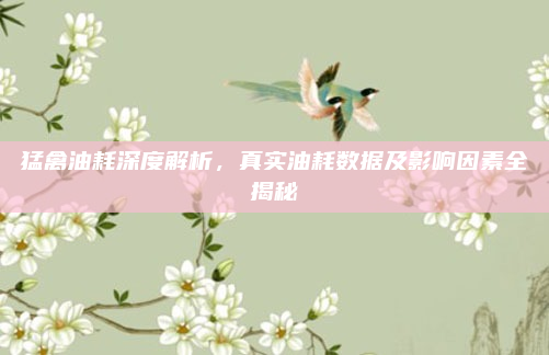 猛禽油耗深度解析,真实油耗数据及影响因素全揭秘