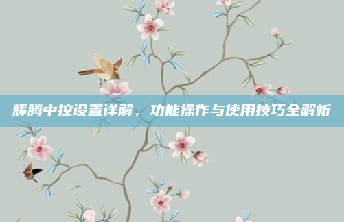 辉腾中控设置详解，功能操作与使用技巧全解析