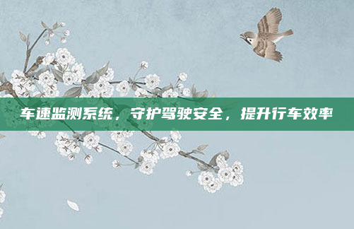 车速监测系统,守护驾驶安全,提升行车效率
