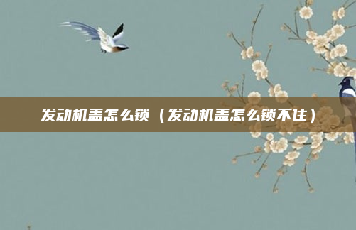 发动机盖怎么锁(发动机盖怎么锁不住)