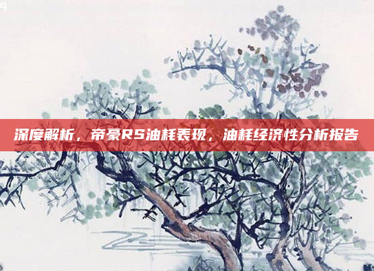 深度解析,帝豪RS油耗表现,油耗经济性分析报告