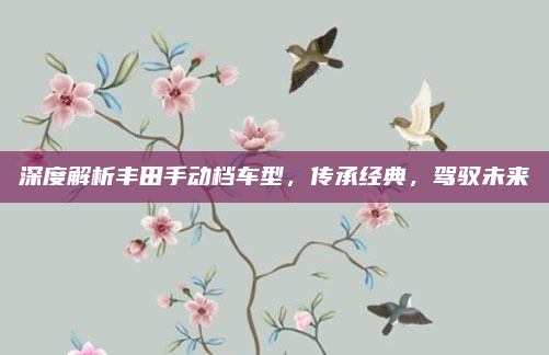 深度解析丰田手动档车型,传承经典,驾驭未来