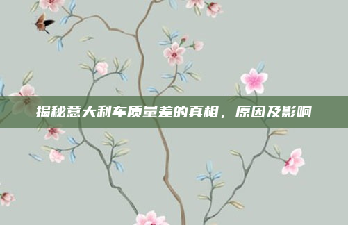 揭秘意大利车质量差的真相,原因及影响