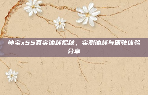 绅宝x55真实油耗揭秘,实测油耗与驾驶体验分享