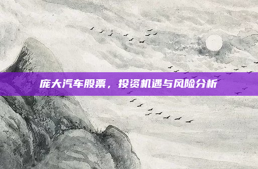 庞大汽车股票,投资机遇与风险分析