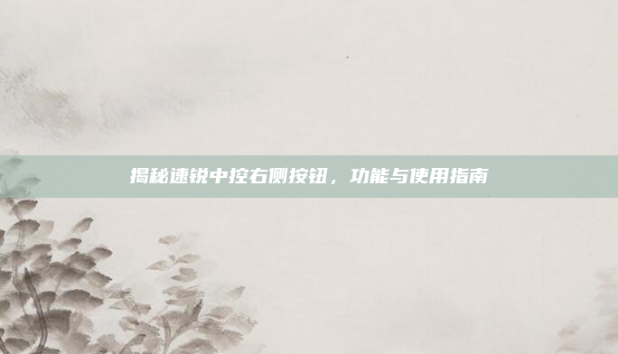 揭秘速锐中控右侧按钮,功能与使用指南