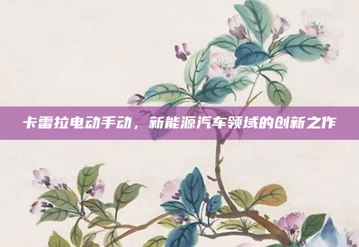 卡雷拉电动手动,新能源汽车领域的创新之作