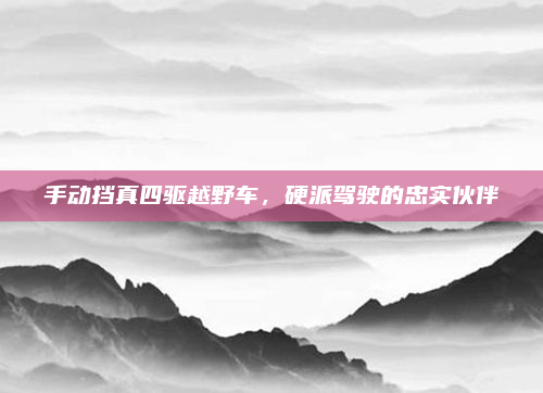 手动挡真四驱越野车,硬派驾驶的忠实伙伴
