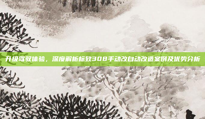 升级驾驭体验，深度解析标致308手动改自动改造案例及优势分析