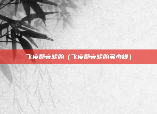 飞度静音轮胎（飞度静音轮胎多少钱）