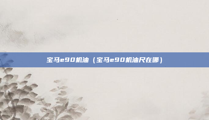 宝马e90机油（宝马e90机油尺在哪）