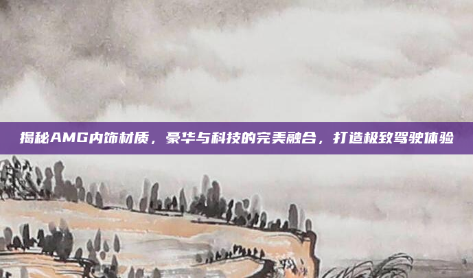 揭秘AMG内饰材质，豪华与科技的完美融合，打造极致驾驶体验