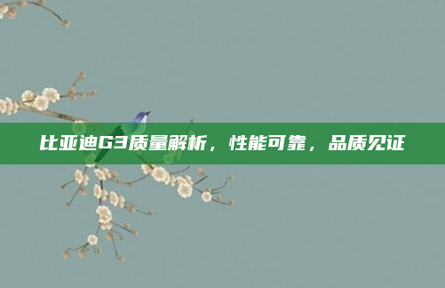 比亚迪G3质量解析，性能可靠，品质见证