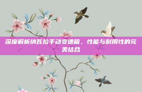 深度解析纳瓦拉手动变速箱，性能与耐用性的完美结合