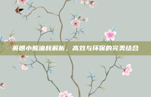 英朗小熊油耗解析,高效与环保的完美结合
