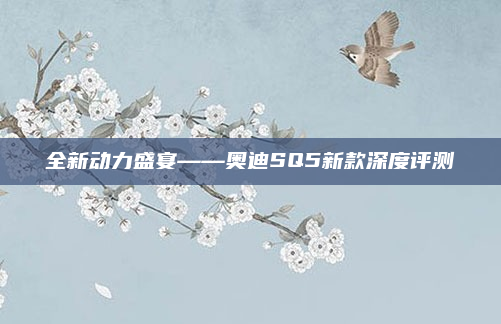 全新动力盛宴——奥迪SQ5新款深度评测
