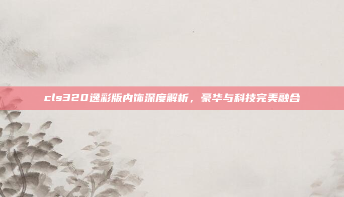 cls320逸彩版内饰深度解析，豪华与科技完美融合