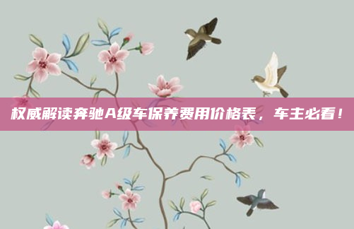权威解读奔驰A级车保养费用价格表，车主必看！