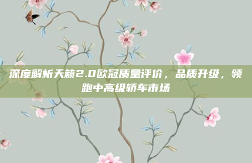 深度解析天籁2.0欧冠质量评价,品质升级,领跑中高级轿车市场