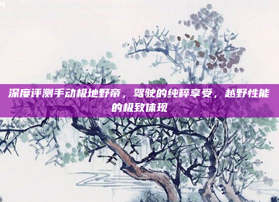 深度评测手动极地野帝,驾驶的纯粹享受,越野性能的极致体现