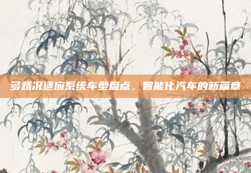 多路况适应系统车型盘点，智能化汽车的新篇章