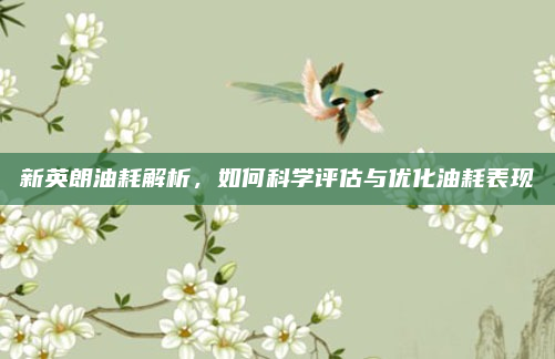 新英朗油耗解析,如何科学评估与优化油耗表现