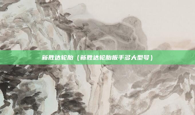 新胜达轮胎（新胜达轮胎扳手多大型号）