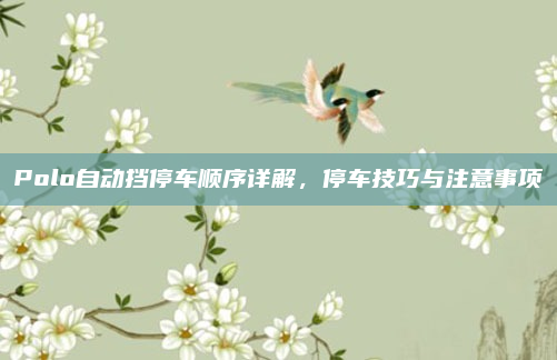 Polo自动挡停车顺序详解，停车技巧与注意事项
