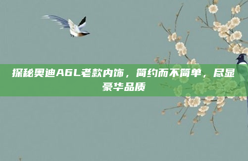 探秘奥迪A6L老款内饰，简约而不简单，尽显豪华品质