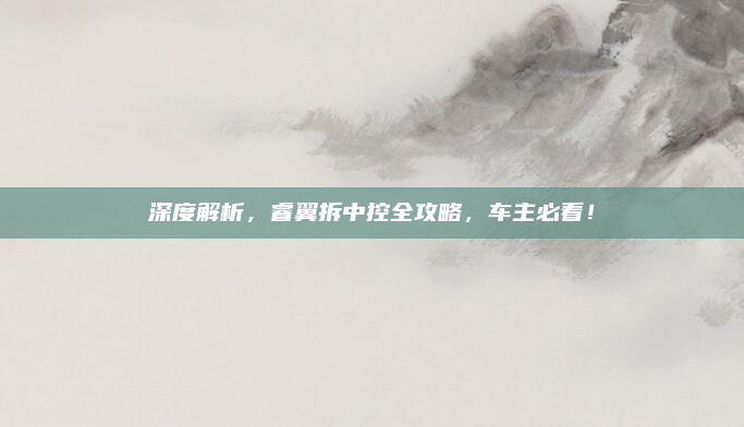 深度解析，睿翼拆中控全攻略，车主必看！