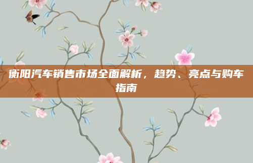 衡阳汽车销售市场全面解析,趋势、亮点与购车指南