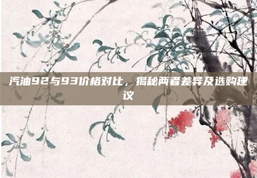 汽油92与93价格对比,揭秘两者差异及选购建议