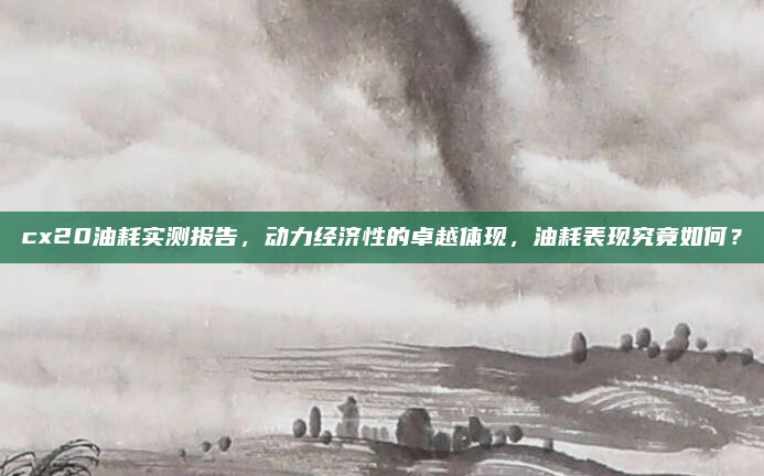 cx20油耗实测报告，动力经济性的卓越体现，油耗表现究竟如何？