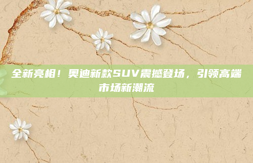 全新亮相!奥迪新款SUV震撼登场,引领高端市场新潮流