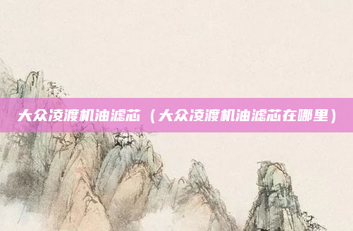 大众凌渡机油滤芯（大众凌渡机油滤芯在哪里）