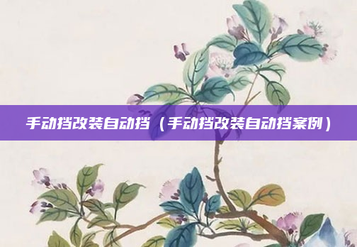 手动挡改装自动挡（手动挡改装自动挡案例）