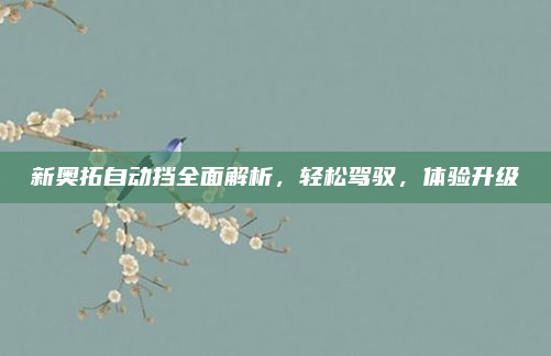 新奥拓自动挡全面解析,轻松驾驭,体验升级