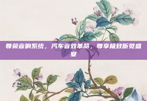 尊荣音响系统,汽车音效革命,尊享极致听觉盛宴