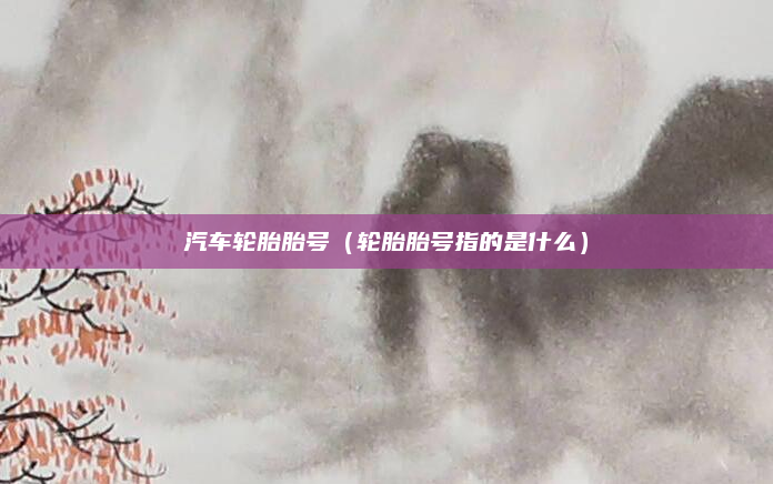 汽车轮胎胎号（轮胎胎号指的是什么）