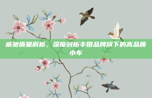威驰质量解析，深度剖析丰田品牌旗下的高品质小车