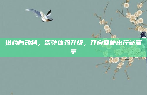 猎豹自动挡，驾驶体验升级，开启智能出行新篇章