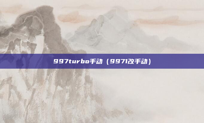 997turbo手动（9971改手动）