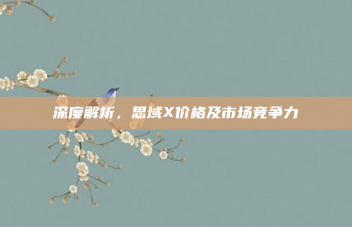 深度解析,思域X价格及市场竞争力