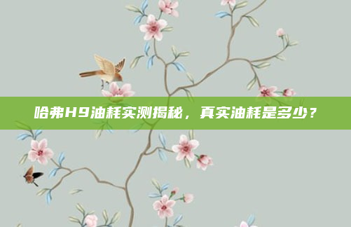 哈弗H9油耗实测揭秘,真实油耗是多少?