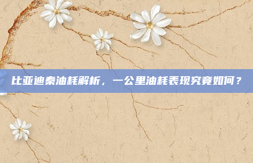 比亚迪秦油耗解析，一公里油耗表现究竟如何？